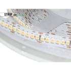 DESIGN LUCE - DLU98HO203220 LED HO 19,2W 24V WW 240 LED IP20 5M