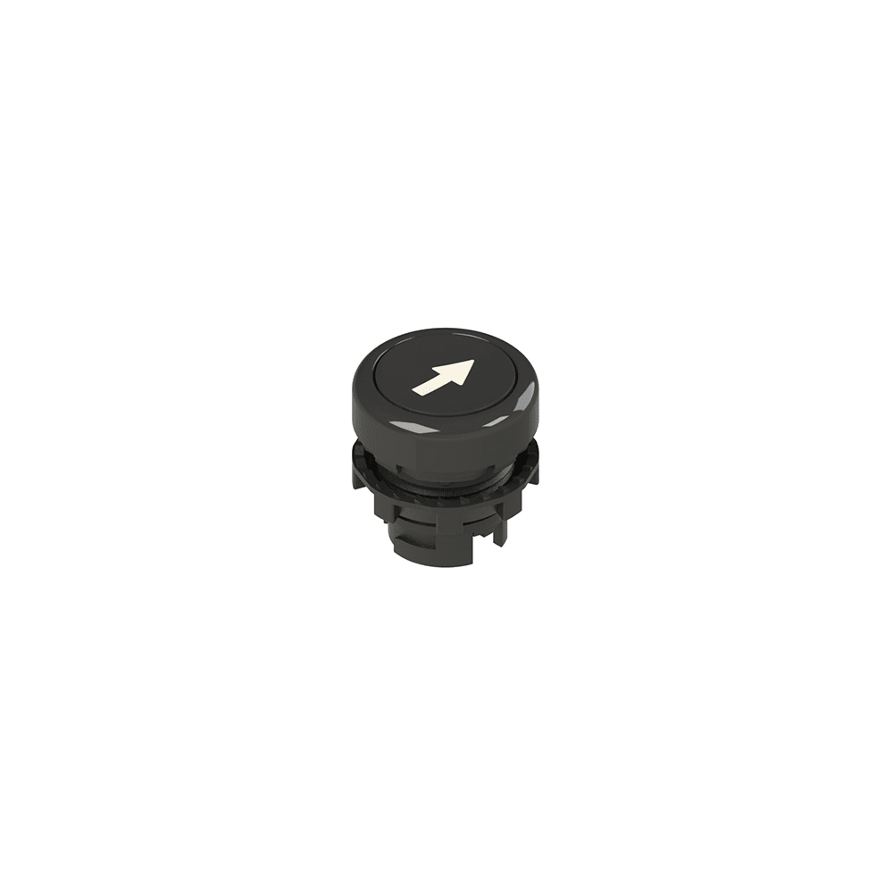 PIZZATO ELETTRICA PZZE2 1PU2R121L7 PULSANTE AD IMPULSO RASATO NERO CON MARC