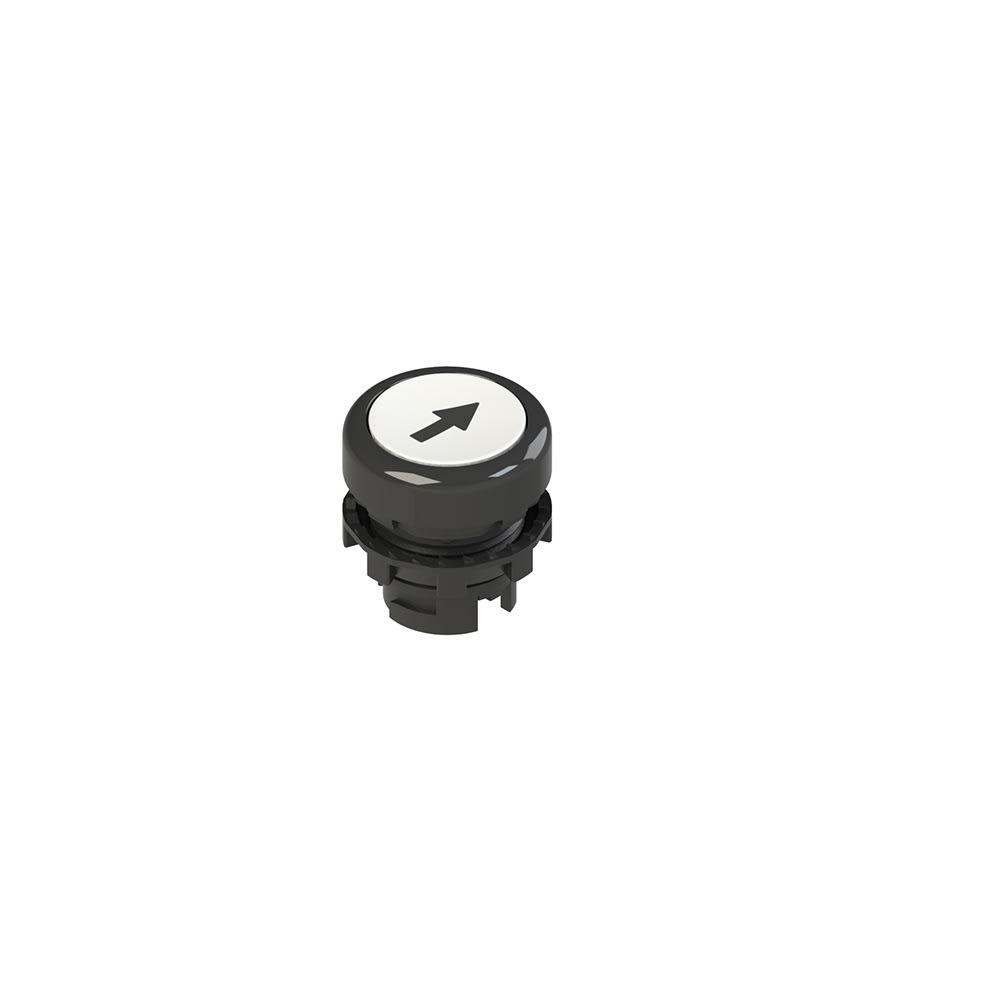 PIZZATO ELETTRICA S. - PZZE2 1PU2R221L7 PULSANTE AD IMPULSO RASATO BIANCO CON MA