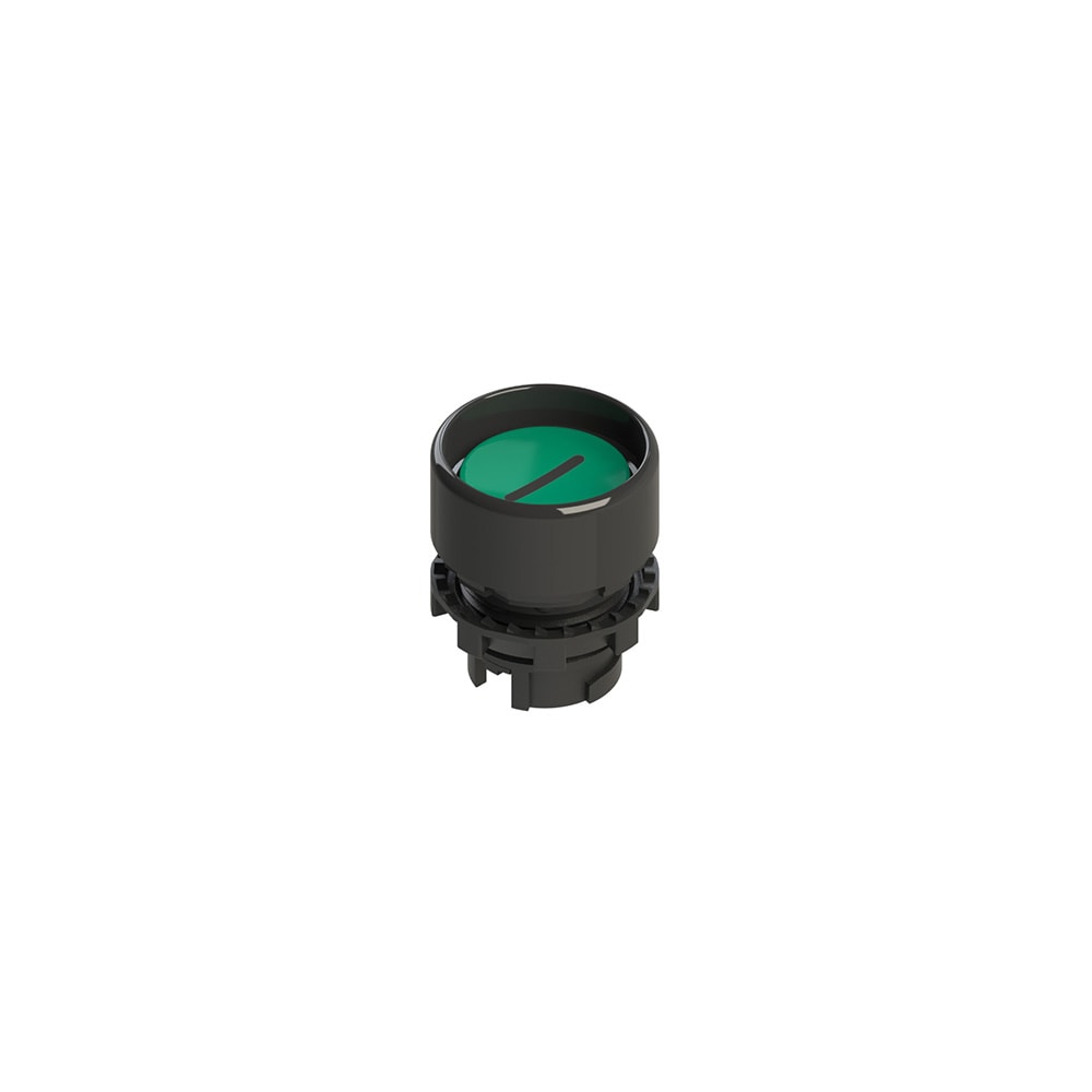 PIZZATO ELETTRICA PZZE2 1PU2P421L2 PULSANTE AD IMPULSO PROTETTO VERDE CON M