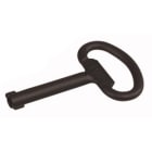 EATON - EAO255317 NWS-SL/DLB/3 CHIAVE DOPPIA ALETTA 3MM