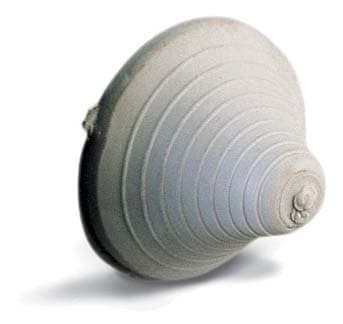 DKC (CONCHIGLIA) - CON097010607 EA/MC/60 APPLICAZIONE DI