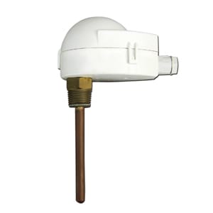 FANTINI COSMI SPA - FANEC13A SONDA A IMMERSIONE PER TERMOR. EV0_