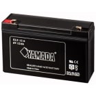ELCART DISTRIBUTION - ERT300604500 BATTERIA RIC.PIOMBO 6V 12,0 AH