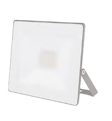 EUROPE EXPOBRO SRL - ERXVR100SN COMPAT PROIETTORE SILVER 100W IP66 4000K