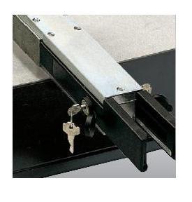 FAAC S.P.A. - FAA424010 SBLOCCO LEVE X AP.110G