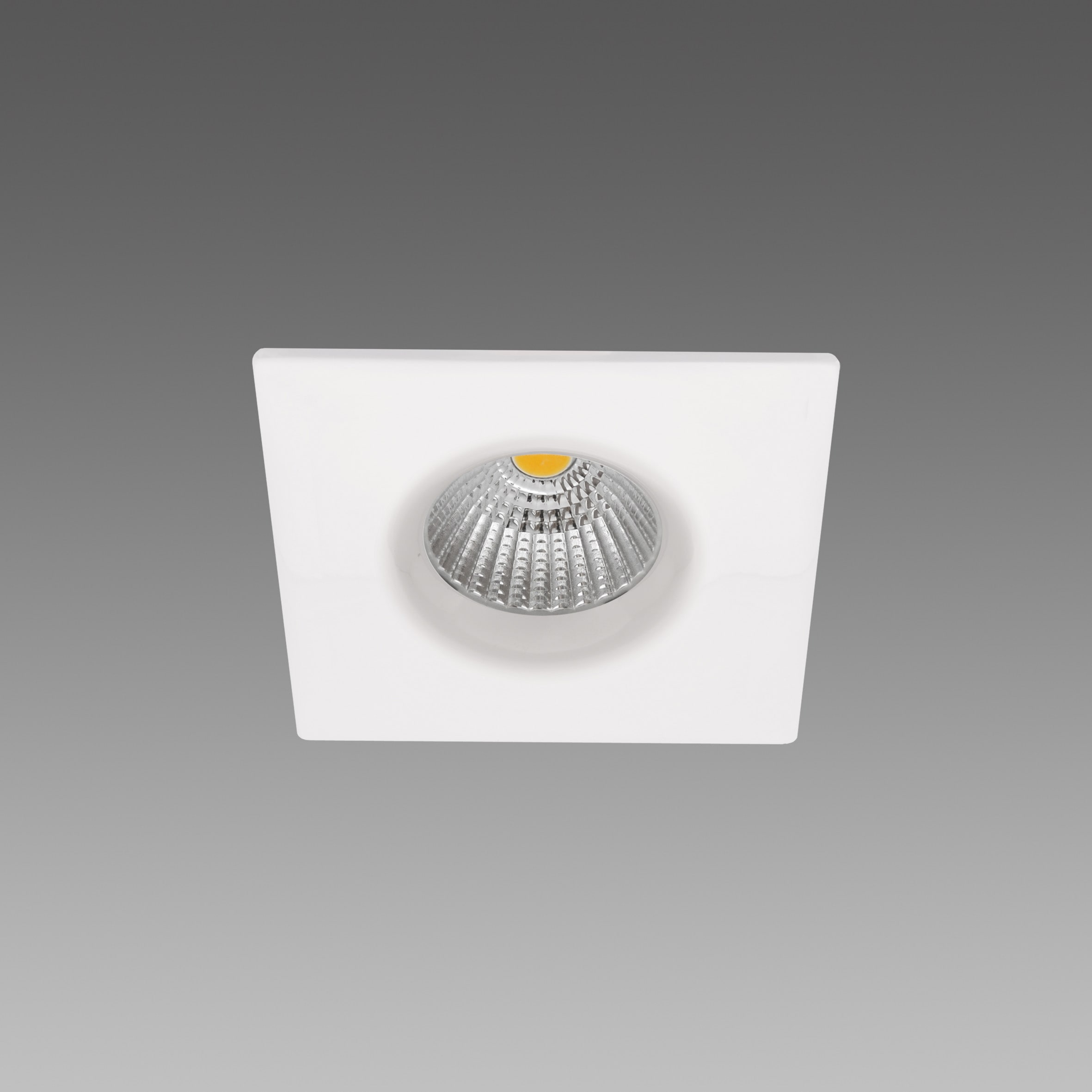 FOSNOVA FOS2208271300 SNOW 4 0827 10W CLD CCT BIA