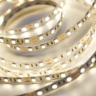 FOSNOVA - FOS2248511200 STRISCIA LED 4851 60 LED MT 4K IP20 L5M