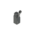 PIZZATO ELETTRICA - PZZFR 554-XM2V38 INTERRUTTORE DI POSIZIONE A LEVA GIREVOL