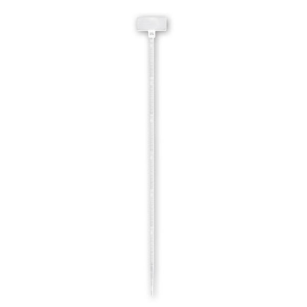 ARNOCANALI S.P.A - ARNFTS10025 FASCETTA TARGHETTA 100X2,5