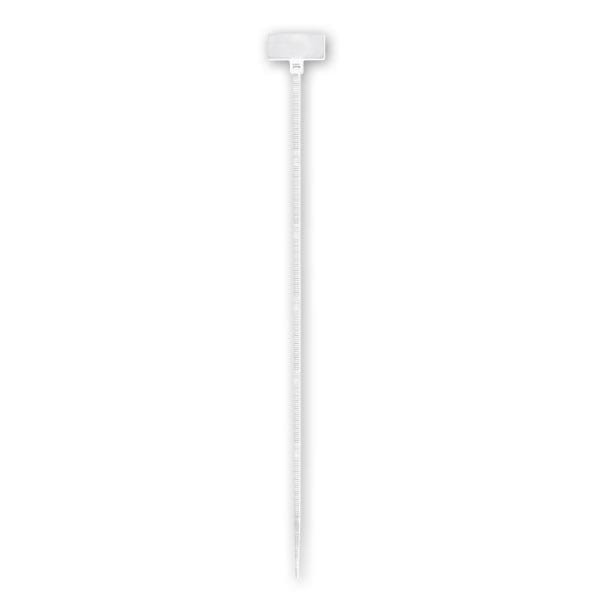 ARNOCANALI S.P.A - ARNFTS10025 FASCETTA TARGHETTA 100X2,5