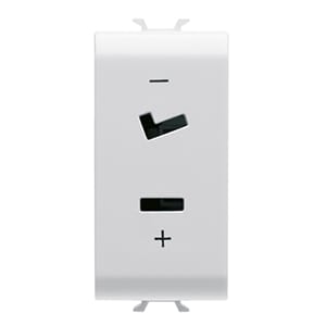 GEWISS GEWGW10452 PRESA SELV 2P 6A 24V POLARIZZATA 1M BIA.