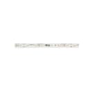 LINEA LIGHT (ILED) - ILD98638 RIBBON+HF 5M 2700K 24V 70L RA85
