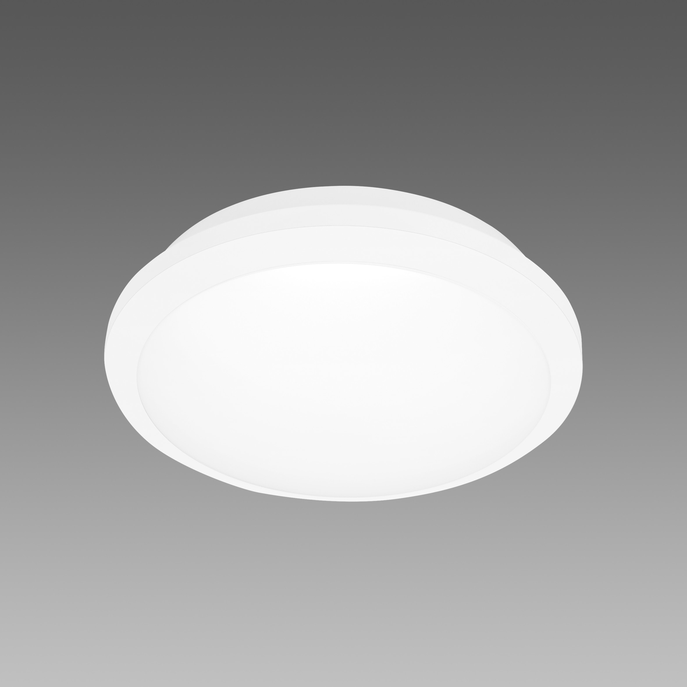 DISANO DIS42724919 GLOBO 1844 LED 14W CLD BIA SENSOR