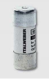 ITALWEBER SPA ITW1443910 FUS CH/P22 AM 10A 690V