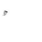 ITALWEBER SPA - ITW1750009 MICRO 170H0069 250V 5A