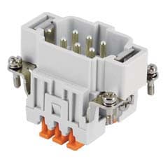 ILME - ILMJSHM 06 FR.SP.06 POLI SQUICH JEI