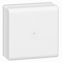 BTICINO (LEGRAND) - LEG030326 DLP-SCATOLA DI DERIV.110X110 BIANCO