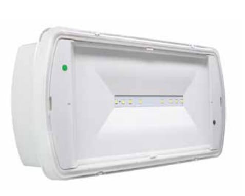 MENVIER CSA SRL - MNVSL2MNM65H1C SAFELITE 24W SA/SE 300LM 1H IP65