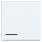 BTICINO - BTIN4915/2M WIPPE 2MOD.