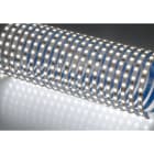 NOBILE ITALIA - NOB80200/F STRIP 5M 10W/M 120LED/M 5K 120 IP20 24V