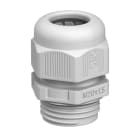 OBO BETTERMANN - OBO2022853 V-TEC VM40 SGR PRESSACAVO