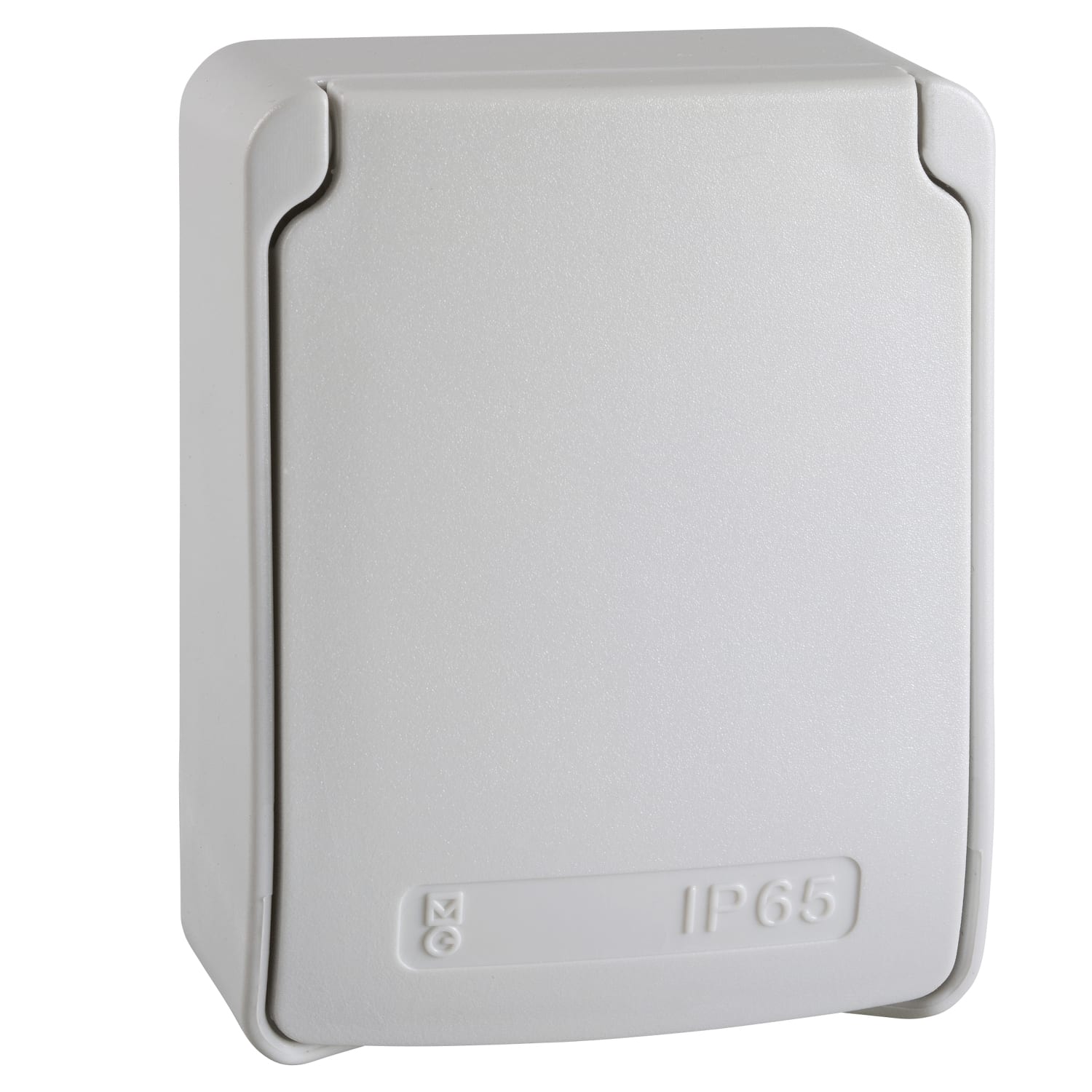 SCHNEIDER ELECTRIC SNR81139 PRESA INC.2XBIVAL.2P+T 230V (18PZ)