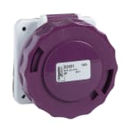 SCHNEIDER ELECTRIC - SNR82965 Presa fissa BTS da incasso IP67 32A 24V 50Hz 2P