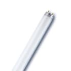 LEDVANCE - LDVL3660 L 36W/60 FLH1 OSRAM