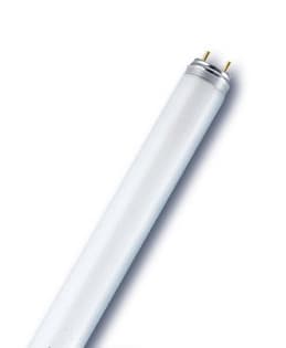 LEDVANCE SPA - LDVL3660 L 36W/60 FLH1 OSRAM