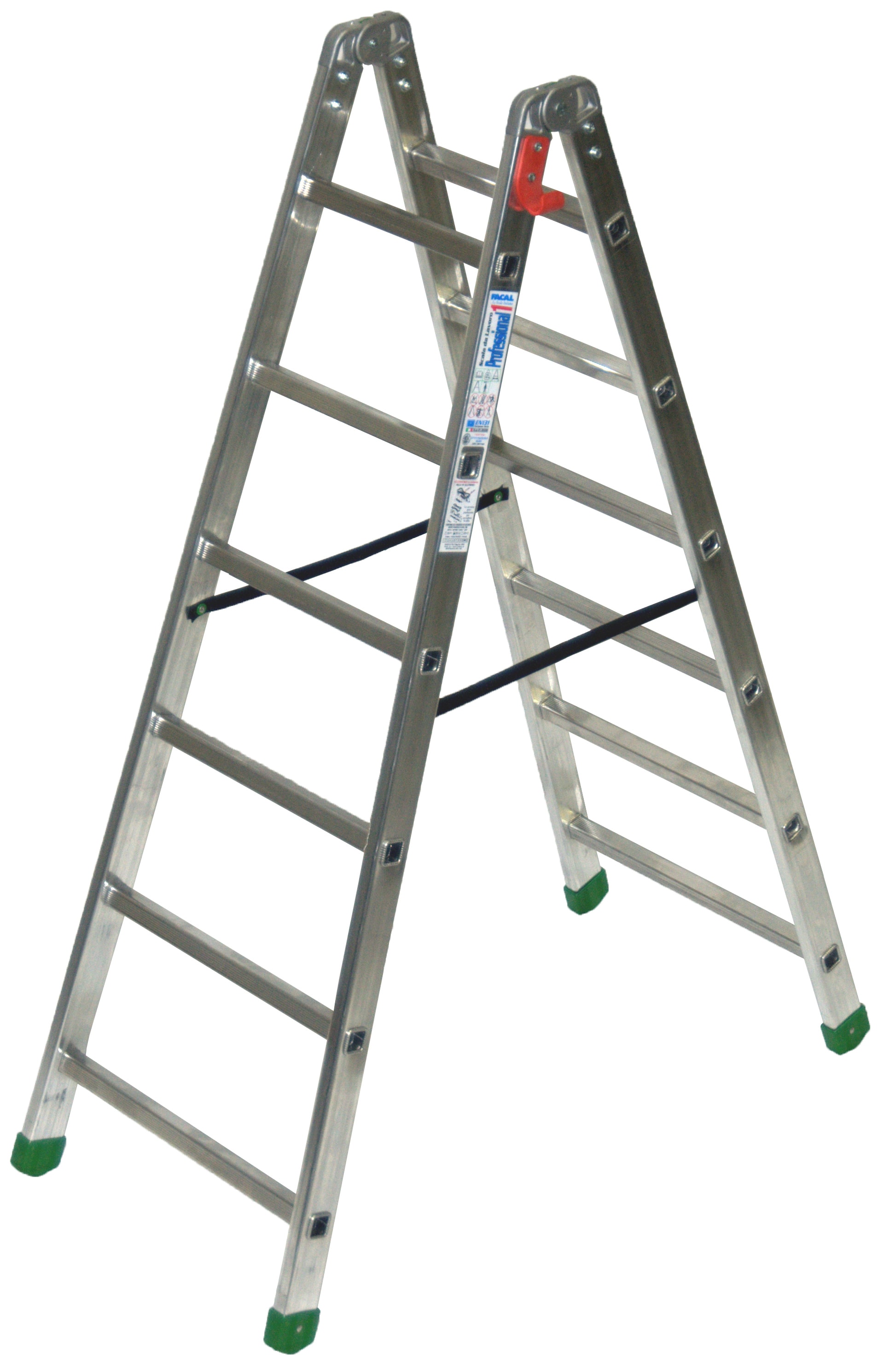FACAL SRL FAFP1-6 SCALA PROFESSIONALE/1 ALLUM.A 6 GRAD.