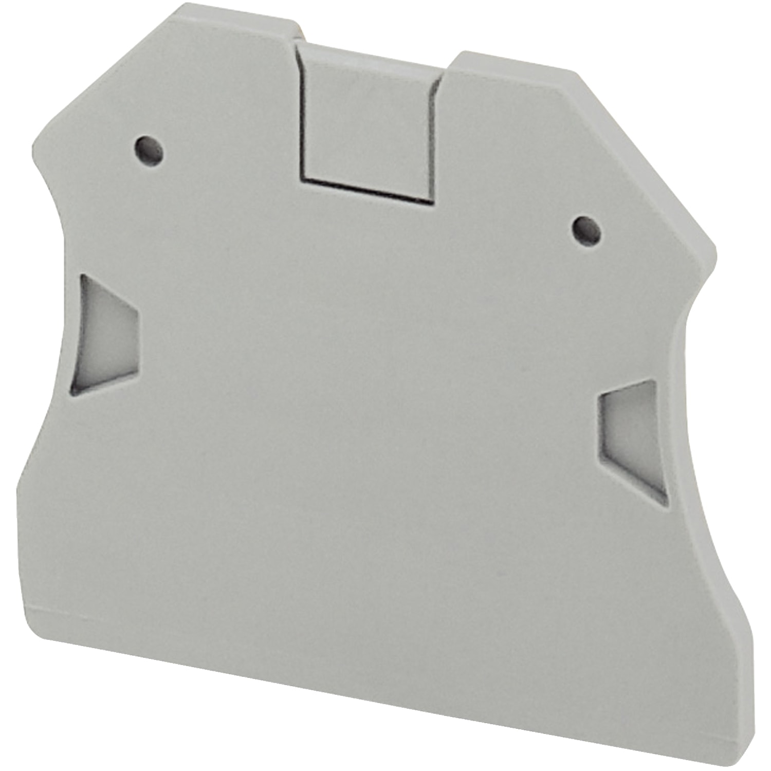 SCHNEIDER ELECTRIC - SNRNSYTRAC22 BLOC TERM, 2PT, PER MORS VITE