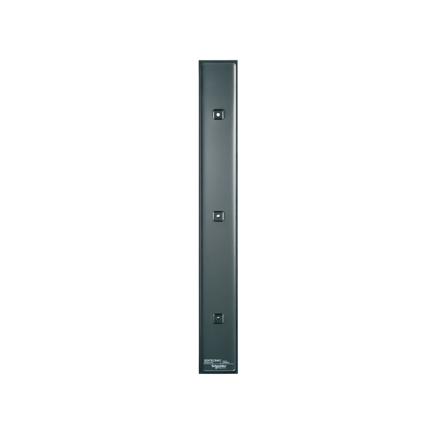 SCHNEIDER ELECTRIC - SNRXGFEC540 EXPANDER DI CAMPO LINEARE 50X 400