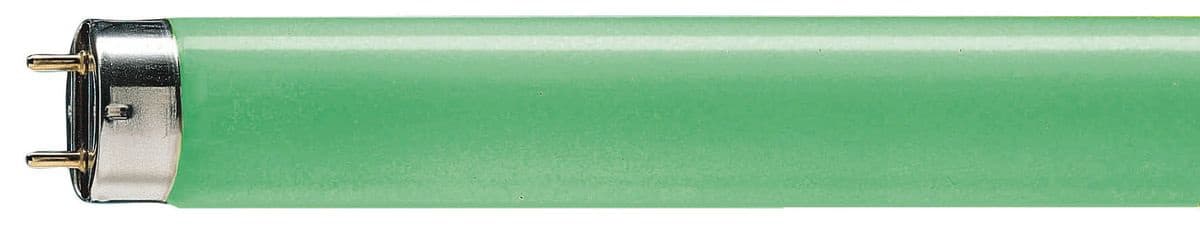 SIGNIFY ITALY SPA PHL3617V TL-D Colored - Fluorescent lamp - Consumo energetico: 36.0 W