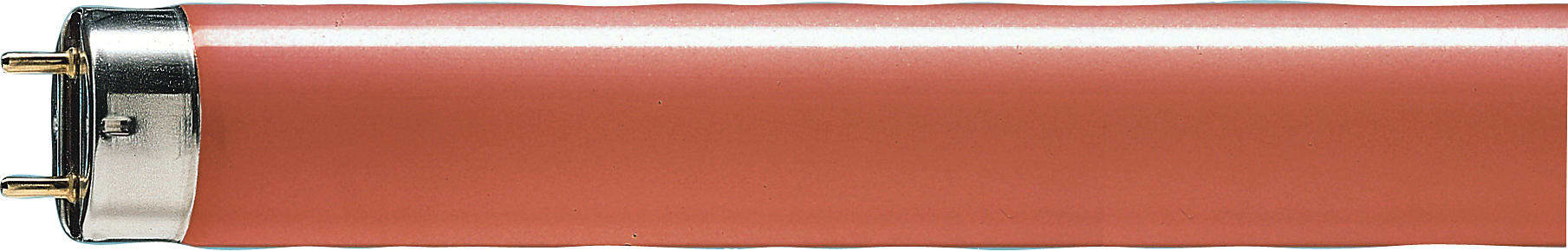 SIGNIFY ITALY SPA PHL5815R TL-D Colored - Fluorescent lamp - Consumo energetico: 58.5 W