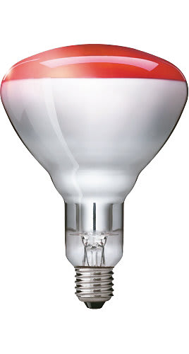 SIGNIFY ITALY SPA - PHLIR250RH BR125 IR 250W E27 230-250V RED 1CT/10