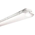 BEGHELLI - BEG258SD6 BS100 LED 2X58 SD 6000K
