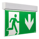 BEGHELLI - BEG4321 EXIT DF30M SA 1/2/3H RM LF