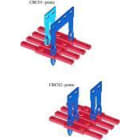 CABUR SRL - CBRPTC0505 PTC/5/05 PONTE A PETTINE 5 POLI