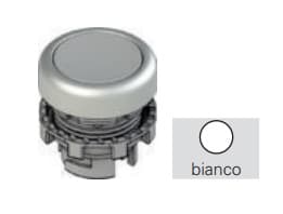 PIZZATO ELETTRICA S. - PZZE2 3PL2R229L241 PULSANTE LUMINOSO RASATO BIANCO CON MARC