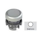 PIZZATO ELETTRICA - PZZE2 3PL2R229L244 PULSANTE LUMINOSO RASATO BIANCO CON MARC