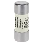 SIEMENS - SIE3NW62101 SENTRON, cartuccia fusibile cilindrica, 22x58 mm, 25 A, gG, Un AC: 690 V