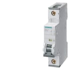 SIEMENS - SIE5SY81207 INT MT 1P C20 30KA
