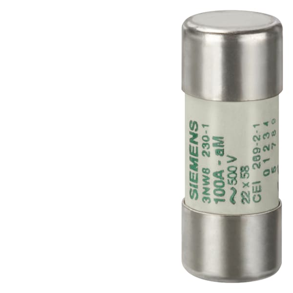 SIEMENS SIE3NW82301 FUSIBILE CILINDRICO 22X58 100A AM
