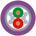 SIEMENS - SIE6XV18300PH10 PROFIBUS TORSION CABLE SOLD BY THE M
