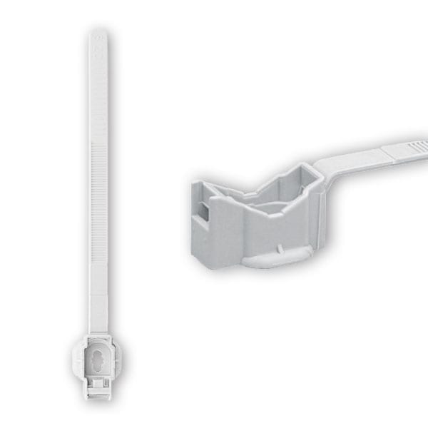 ARNOCANALI S.P.A - ARNS0832BL FISSATUBO FASCETTA D 8-32MM GRIGIO