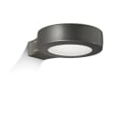 TARGETTI - TAR1E2909 HOCKEY WALL 30K 13W VWFL FE