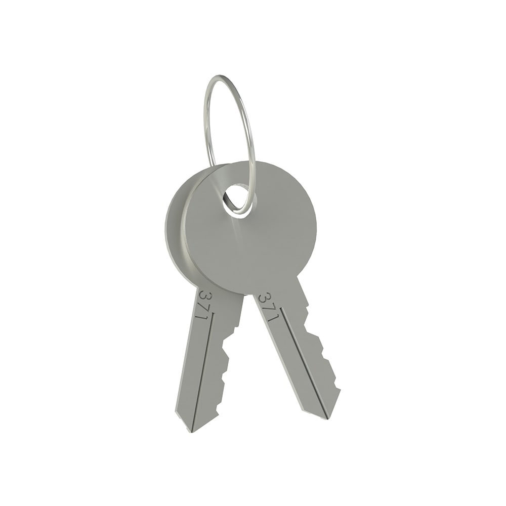 PIZZATO ELETTRICA S. - PZZVF KLB300 COPPIA DI CHIAVI PER INTERRUTTORE DI SIC