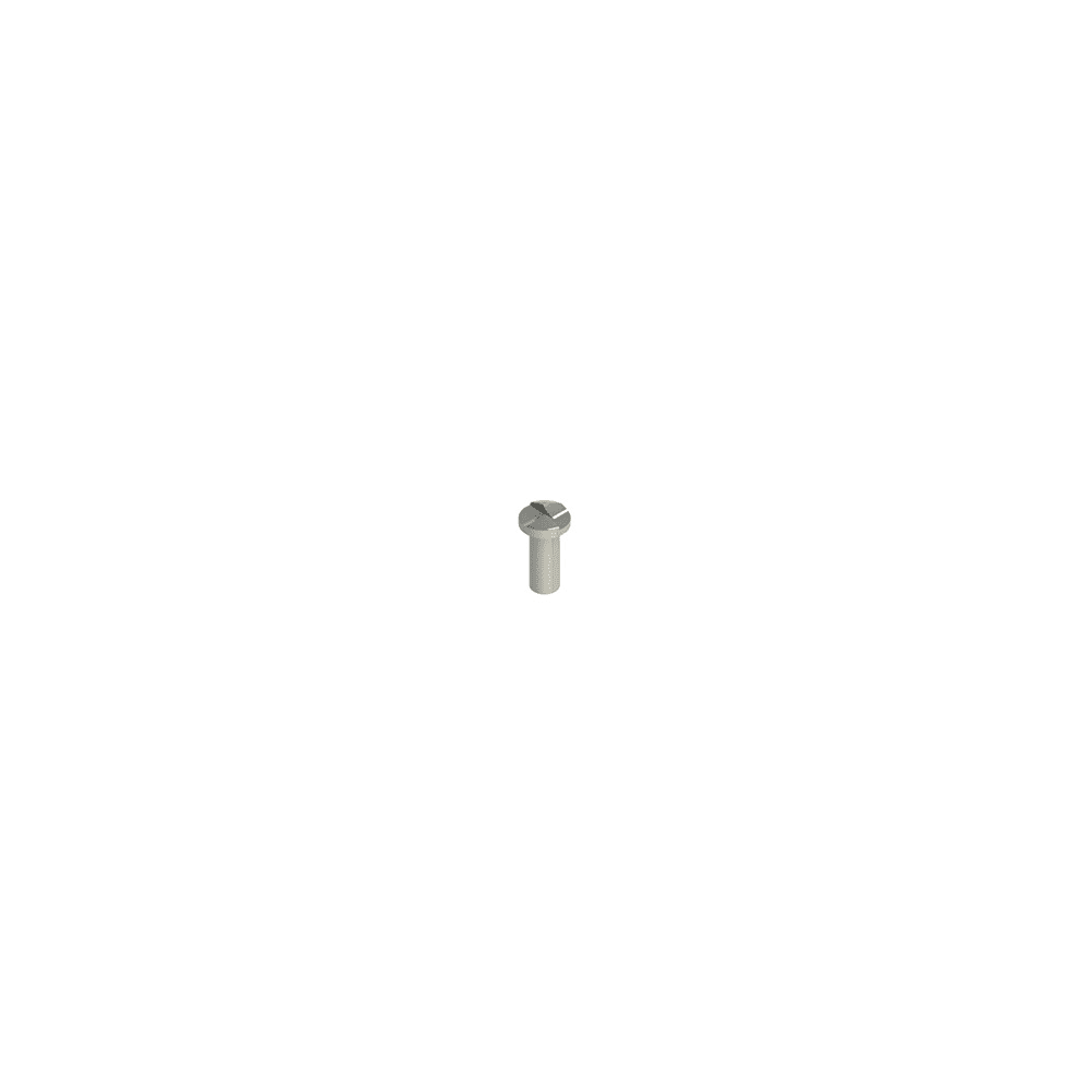 PIZZATO ELETTRICA PZZVF VAM4X10BW-X VITI DI SICUREZZA IN ACCIAIO INOX