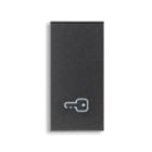 VIMAR SPA - VIW19021.P TASTO 1M SIMBOLO CHIAVE GRIGIO